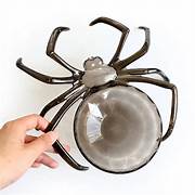 Bandeja Para Dulce Decoración araña
