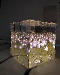 Lampara Cubo de Tulipanes