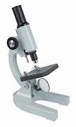 Kit Microscopio Compuesto Luz 100x-450x