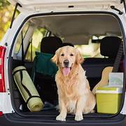 Funda Cubre Asiento Auto para Mascotas